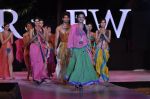 Model walk the ramp for Anupama Dayal Show at IRFW 2012 Day 1 in Goa on 28th Nov 2012 (131).JPG